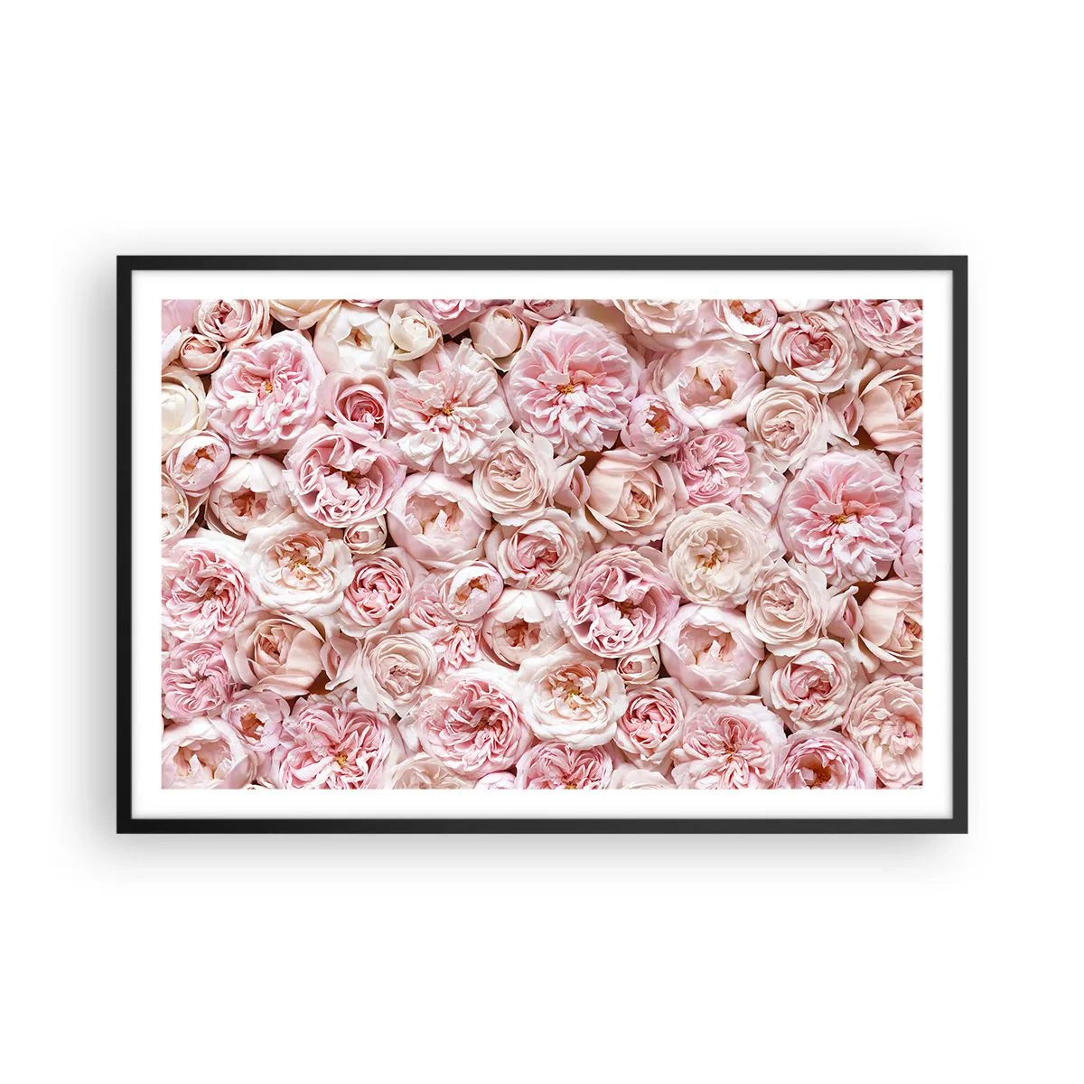 Poster in cornice nera - Coperto di rose - 91x61 cm