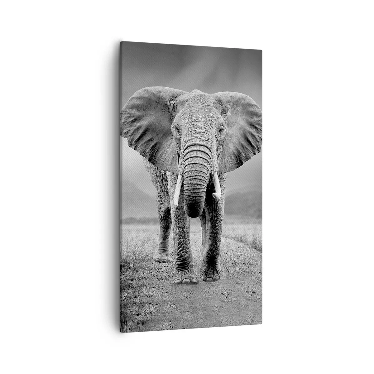 Quadro su tela - Stampe su Tela - Il padrone di casa dà il benvenuto - 55x100 cm