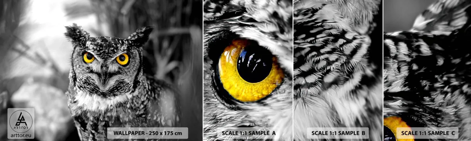 Campione Di Fotomurale Standard Eco - Non si può nascondere niente - Uccelli, Gufo, Natura - 100x30 cm