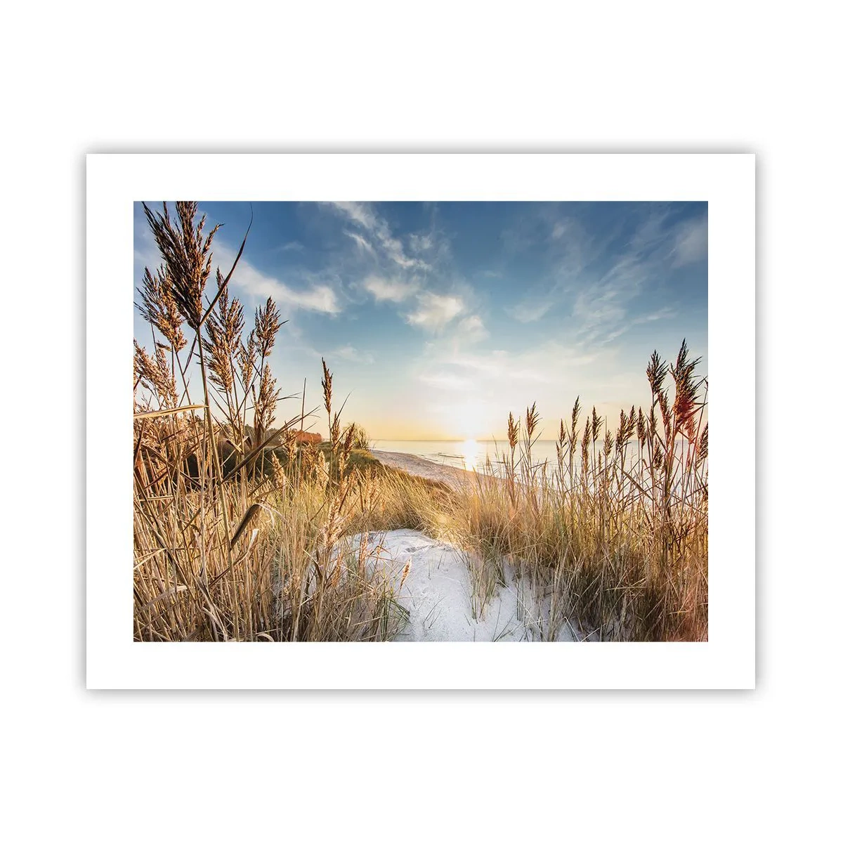 Poster - Spiaggia del nord - 50x40 cm