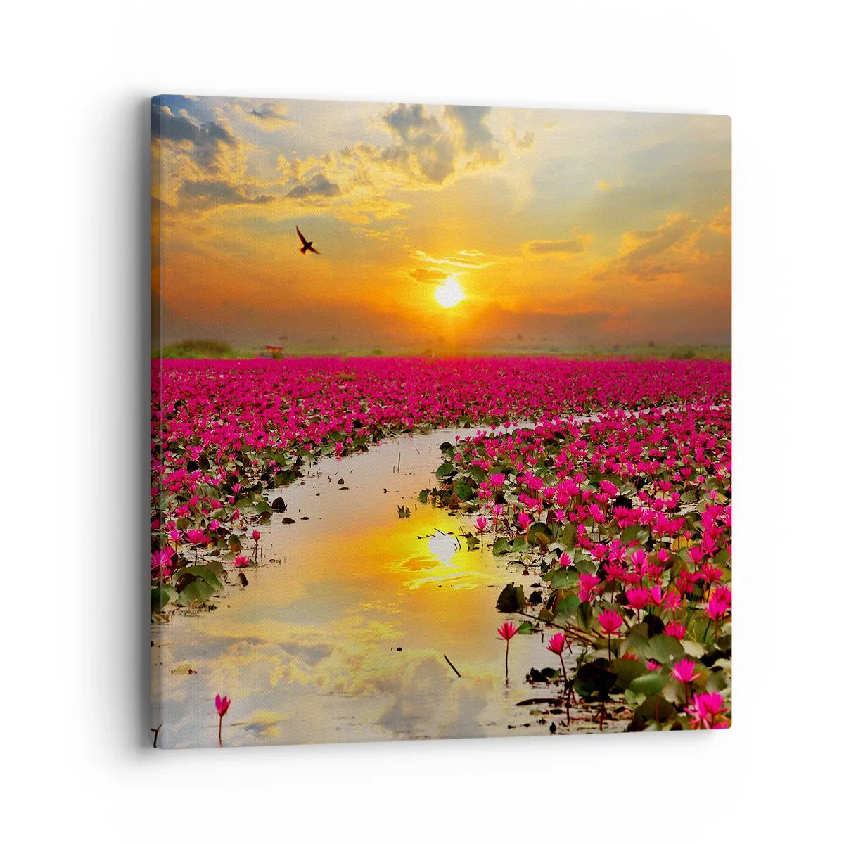 Quadro su tela - Stampe su Tela - La vita segreta del lago - 40x40 cm