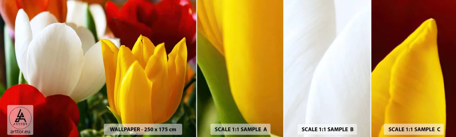 Campione Di Fotomurale Standard Eco - La febbre dei tulipani - Fiori, Tulipani, Mazzo di fiori - 100x30 cm