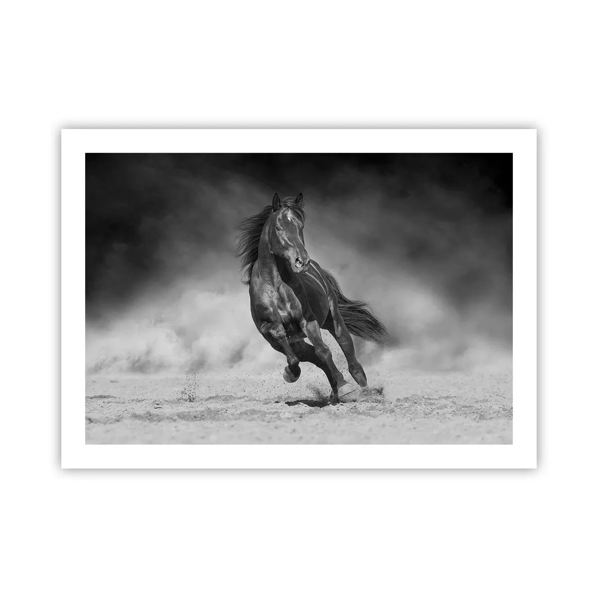 Poster - Degno dell'emiro - 70x50 cm