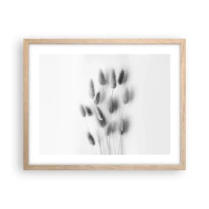 Poster in cornice rovere chiaro - Erba soffice - 50x40 cm