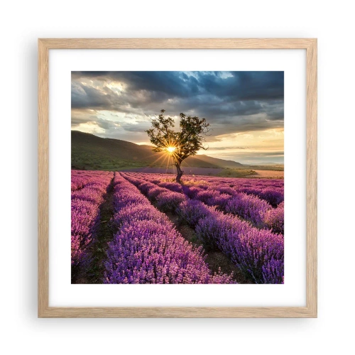 Poster in cornice rovere chiaro - Aroma di colore lilla - 40x40 cm