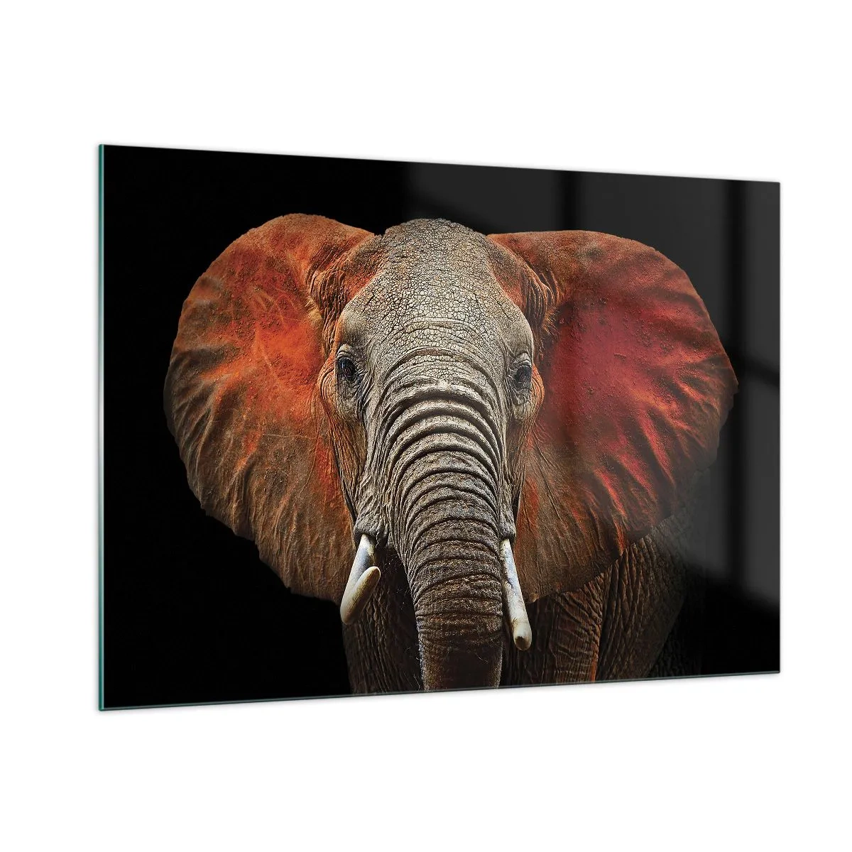 Quadro su vetro - Ritratto di un maestoso elefante su sfondo nero - 100x70cm - Sono selvaggio e tu? - Decorazione murale moderna per soggiorno e camera da letto ARTTOR
