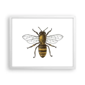 Poster in cornice bianca - Bella e buona - 50x40 cm