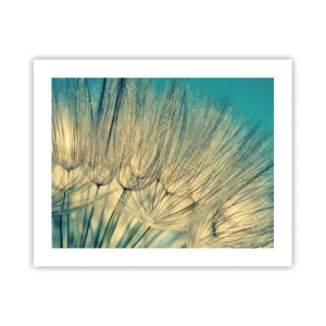 Poster - Aspettando il vento - 50x40 cm