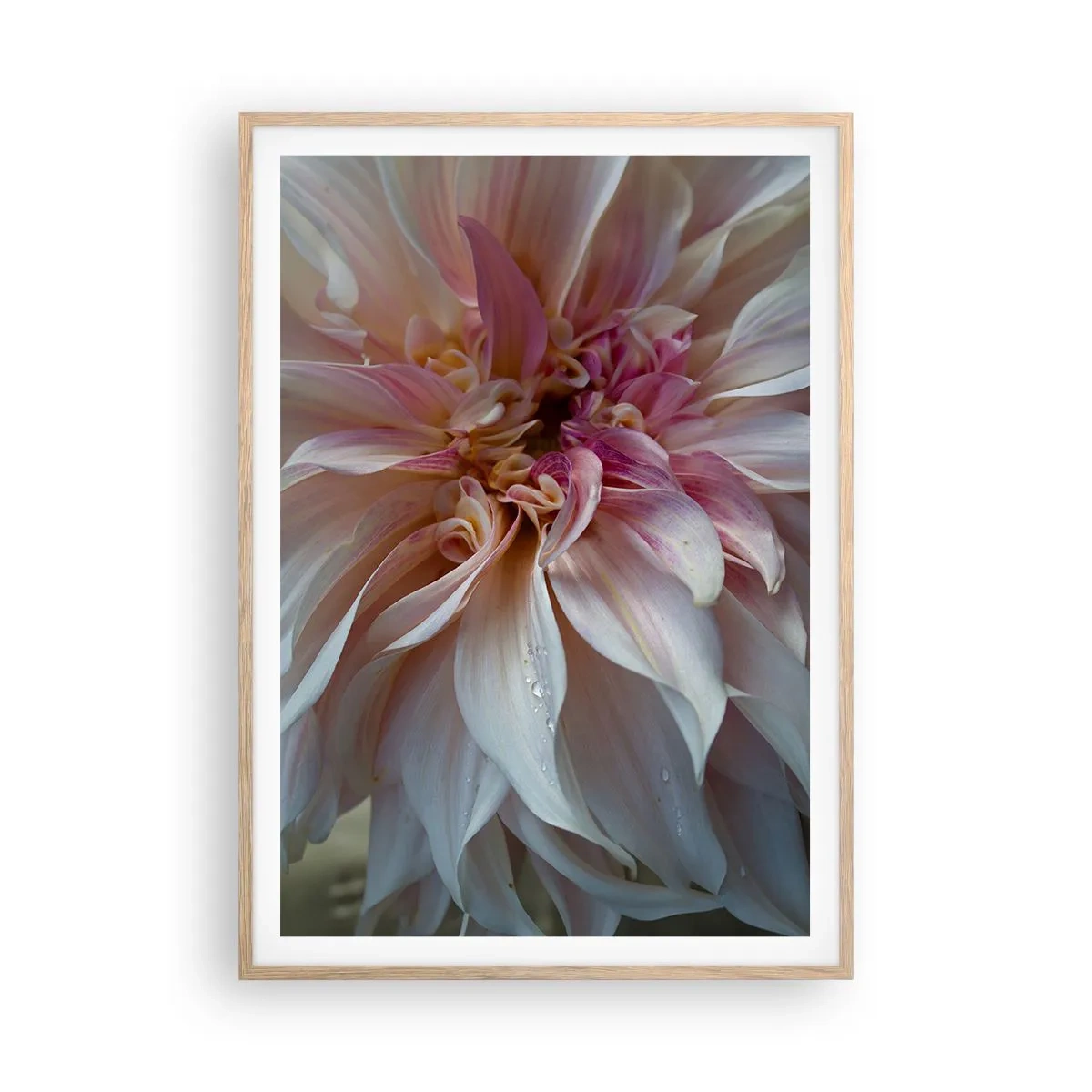 Poster in cornice rovere chiaro - Freschezza in fiore - 70x100 cm