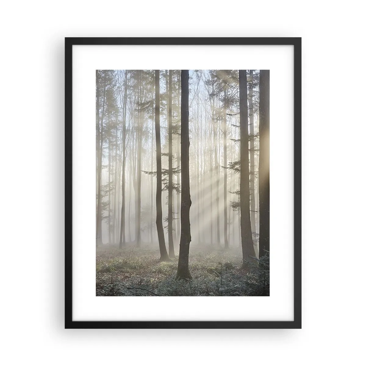 Poster in cornice nera - Anche la nebbia si è svegliata - 40x50 cm