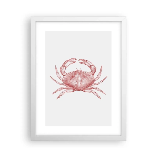 Poster in cornice bianca - Il granchio dei granchi - 30x40 cm
