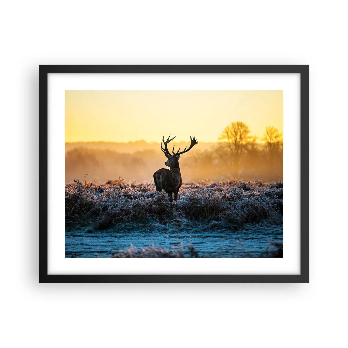 Poster in cornice nera - Incoronato nelle sue terre - 50x40 cm