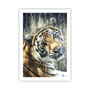 Poster - Primo piano di una tigre contro un muro naturale - 50x70cm - Ritratto nei flussi di luce - Decorazione murale moderna per soggiorno e camera da letto ARTTOR