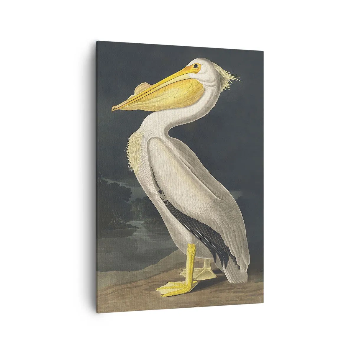 Quadro su tela - Stampe su Tela - Pieno di orgoglio - 70x100 cm