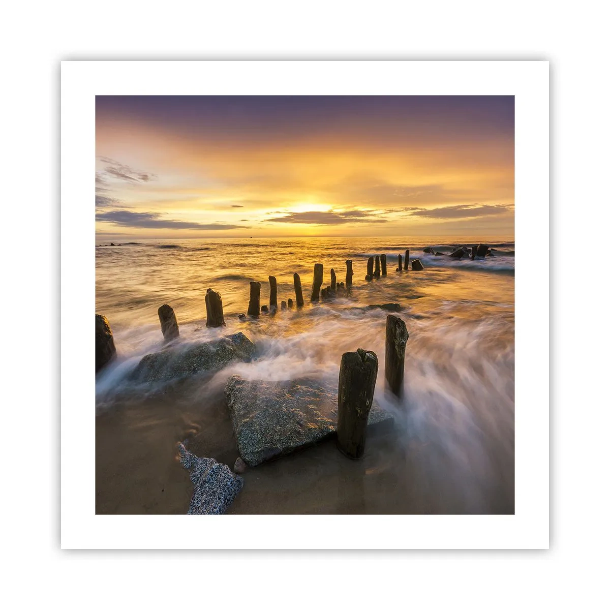 Poster - La bellezza selvatica del Baltico - 50x50 cm