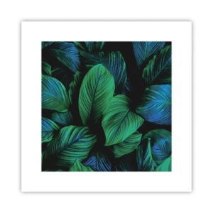 Poster - Nella folla verde - 30x30 cm