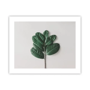 Poster - Il disegno della natura stessa - 50x40 cm