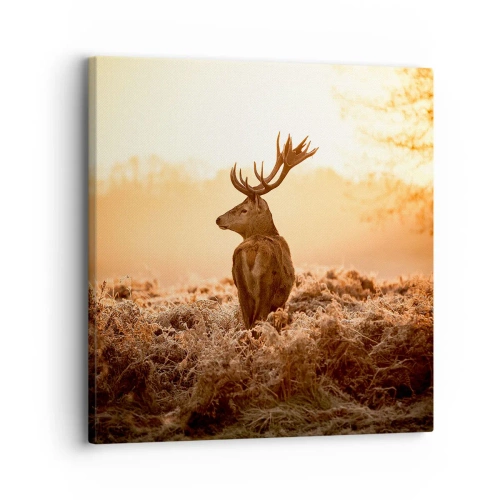 Quadro su tela - Stampe su Tela - Il signore sulle sue terre - 30x30 cm