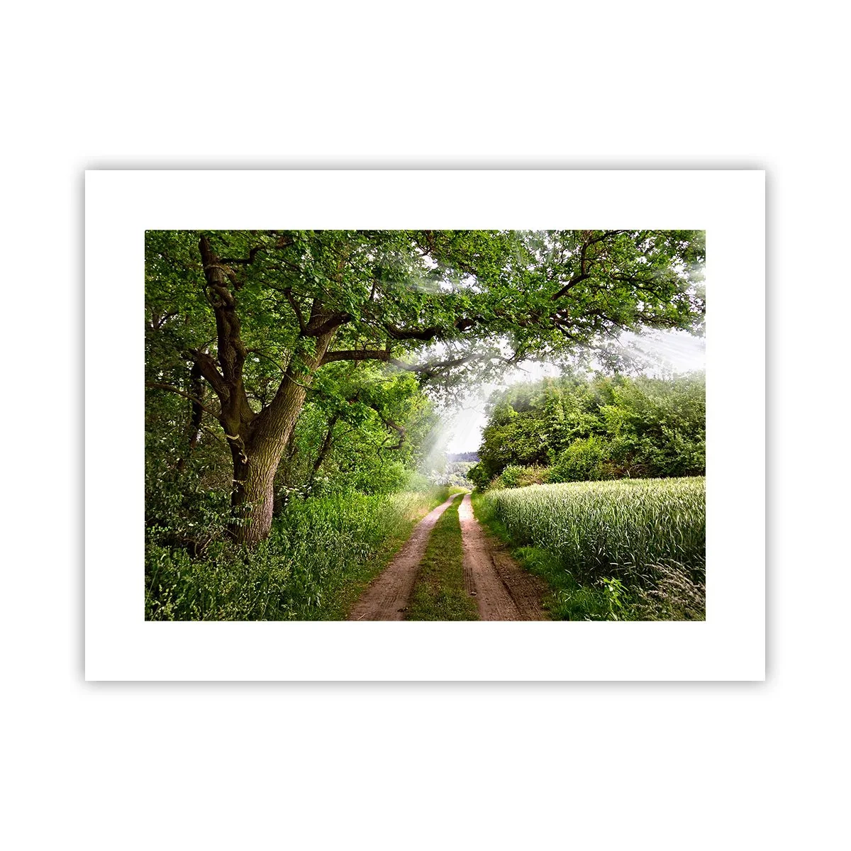 Poster - Et in Arcadia ego - 40x30 cm