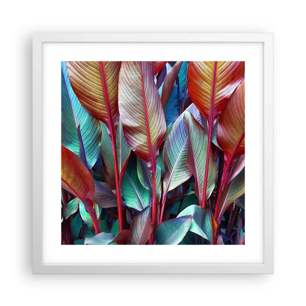 Poster in cornice bianca - Selva colorata - 40x40 cm