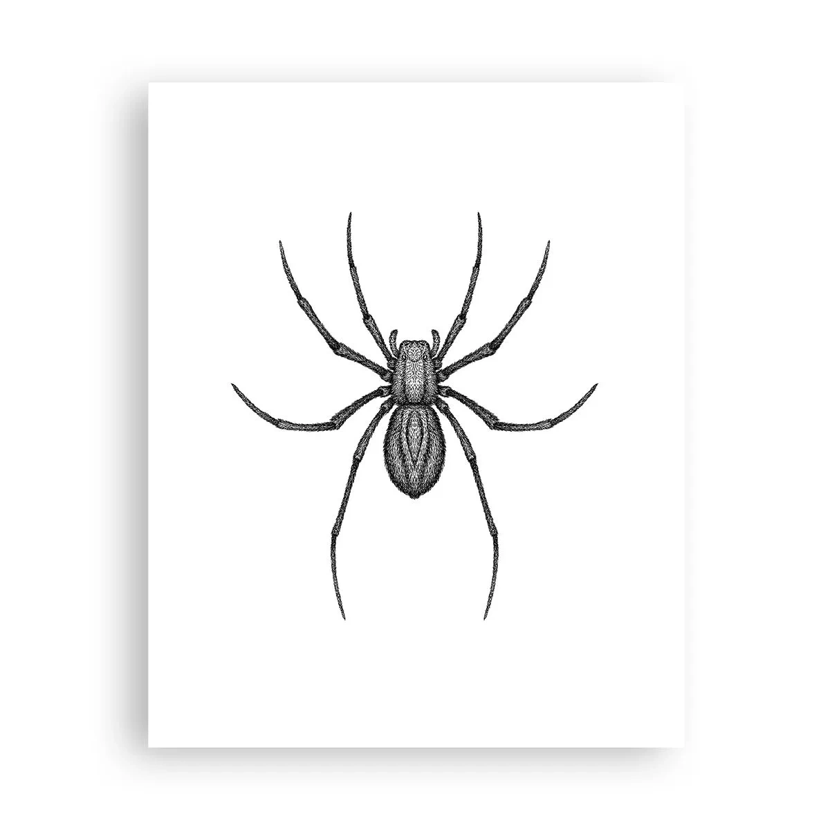 Poster - Precisione inquietante - 40x50 cm