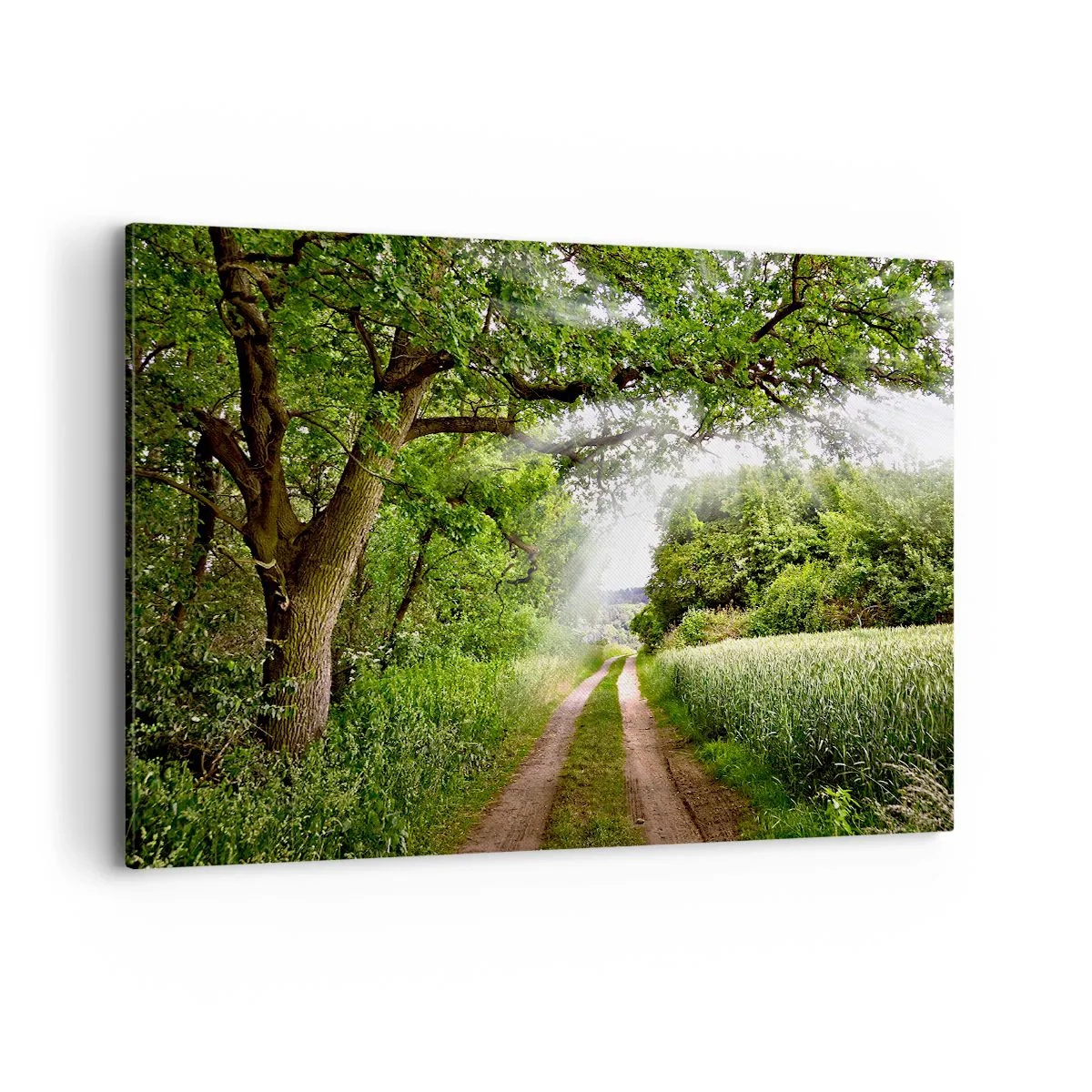 Quadro su tela - Stampe su Tela - Una strada sterrata tra alberi verdi e luce solare - 120x80cm - Et in Arcadia ego - Decorazione murale moderna per soggiorno e camera da letto ARTTOR