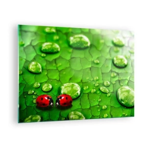 Quadro su vetro - Due coccinelle su una foglia verde con gocce d'acqua - 70x50cm - Incontro in verde - Decorazione murale moderna per soggiorno e camera da letto ARTTOR