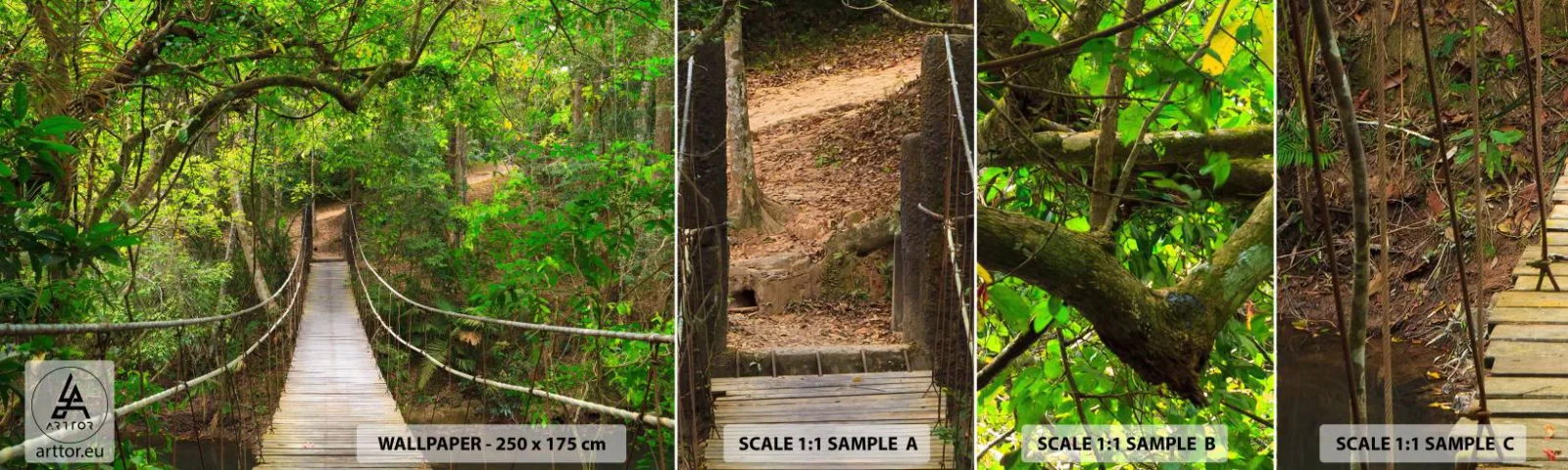 Campione Di Fotomurale Standard Eco - Perché nel giardino crescono i rampicanti - Paesaggio, foresta, Natura - 100x30 cm