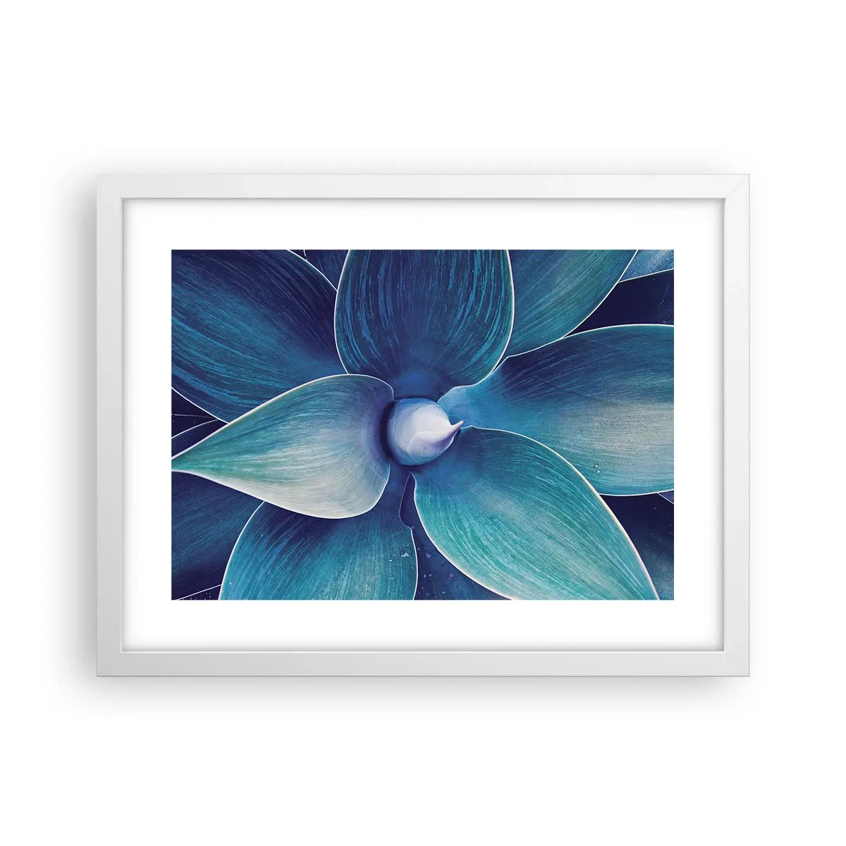 Poster in cornice bianca - Imbluito dal sole - 40x30 cm