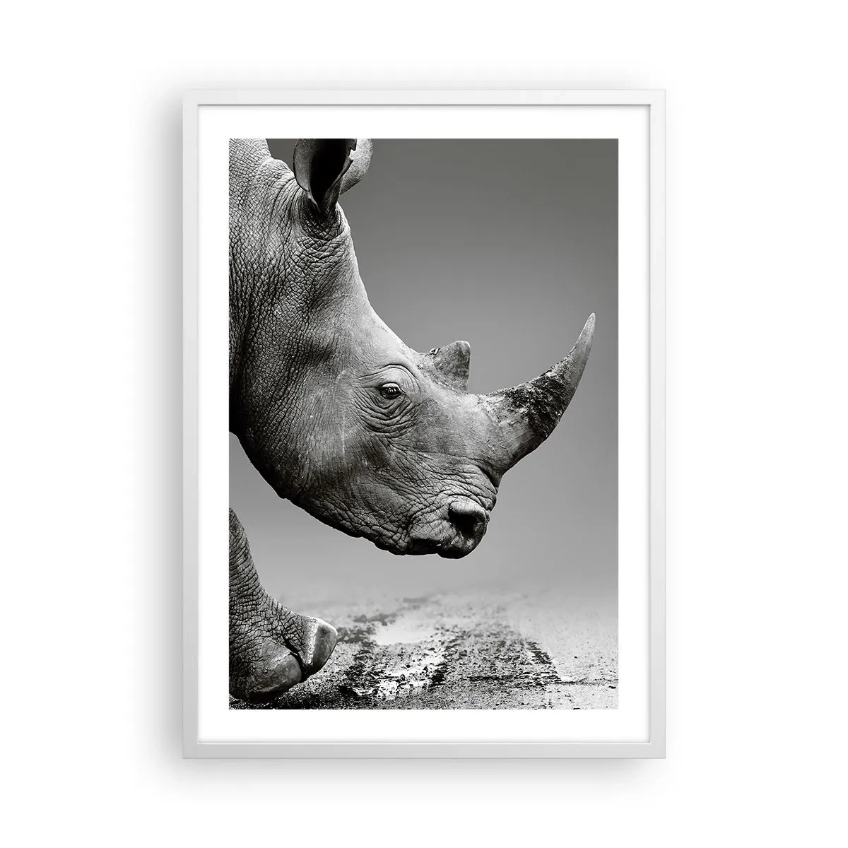 Poster in cornice bianca - Forza irrefrenabile - 50x70 cm