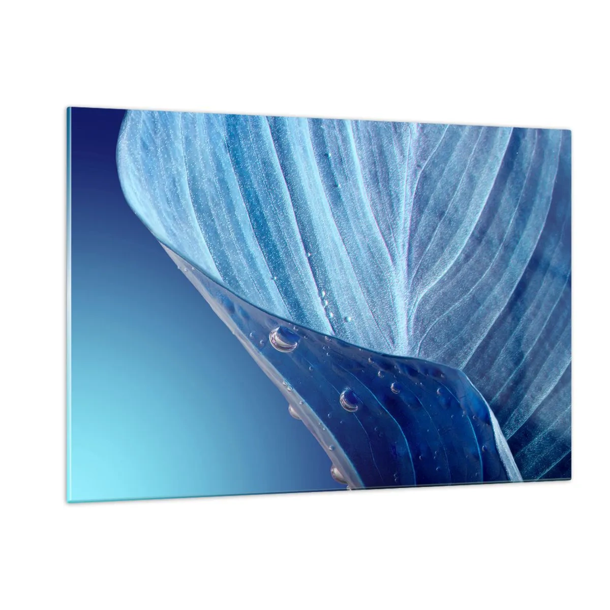 Quadro su vetro - Una foglia nei toni del blu con gocce d'acqua su uno sfondo sfumato. - 120x80cm - Gocce di blu nascoste - Decorazione murale moderna per soggiorno e camera da letto ARTTOR