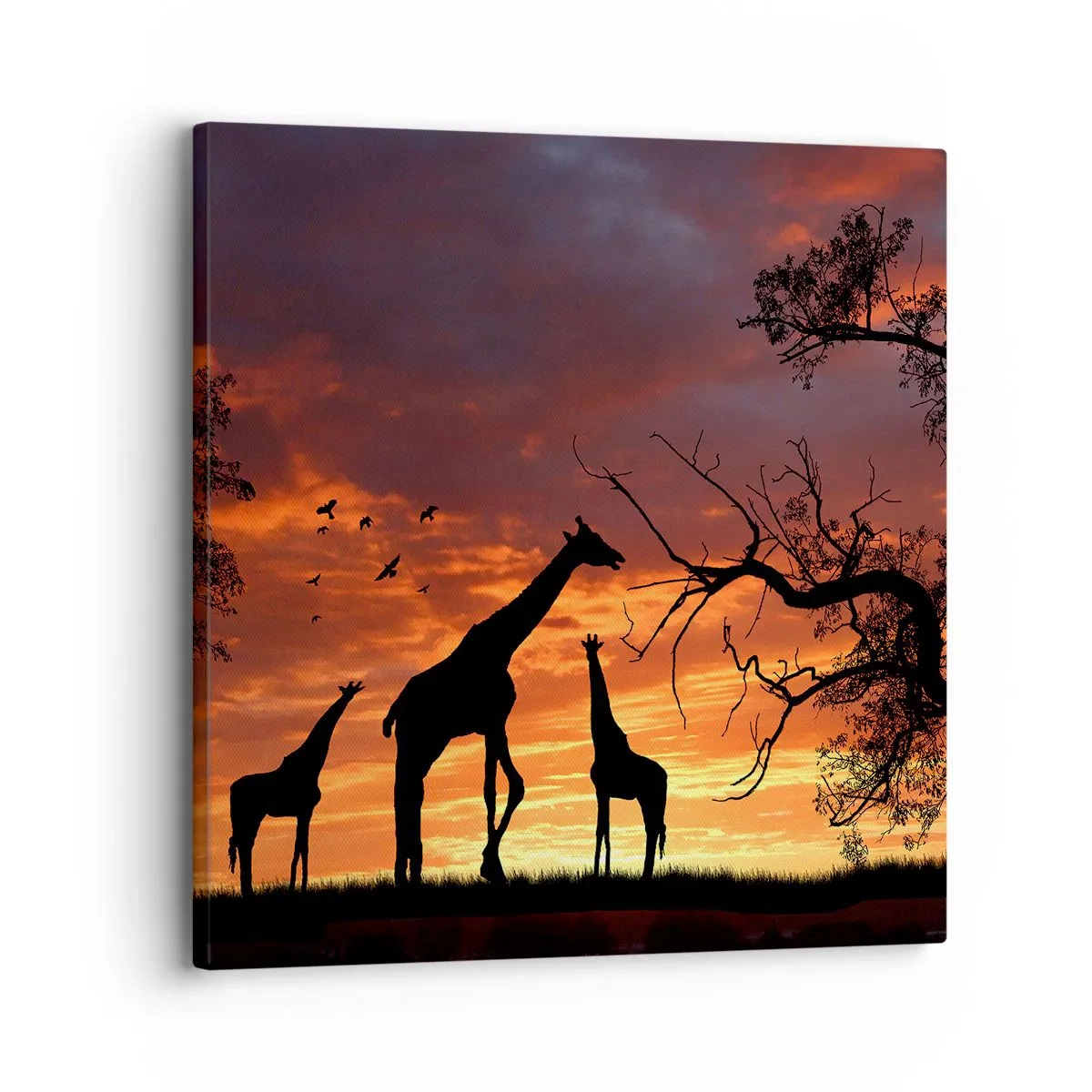 Quadro su tela - Stampe su Tela - Piccola cena tra amici - 30x30 cm