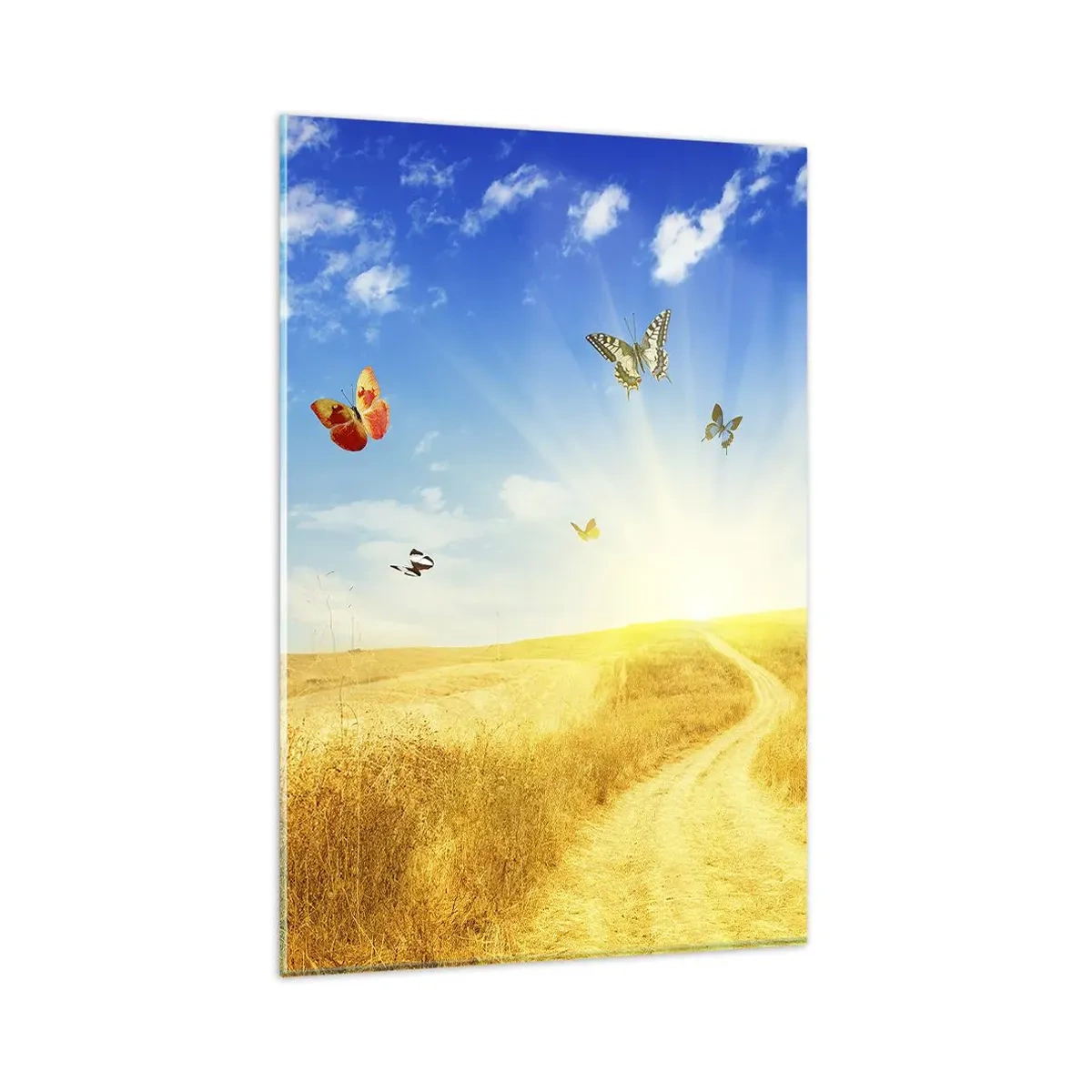 Quadro su vetro - Un campo dorato, un sentiero e farfalle contro un cielo azzurro - 80x120cm - Come non amare l'estate? - Decorazione murale moderna per soggiorno e camera da letto ARTTOR