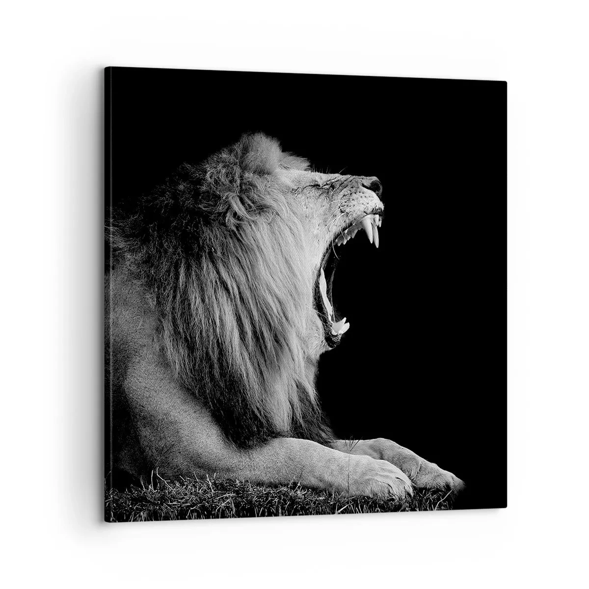 Quadro su tela - Stampe su Tela - Senza alcun dubbio - 60x60 cm