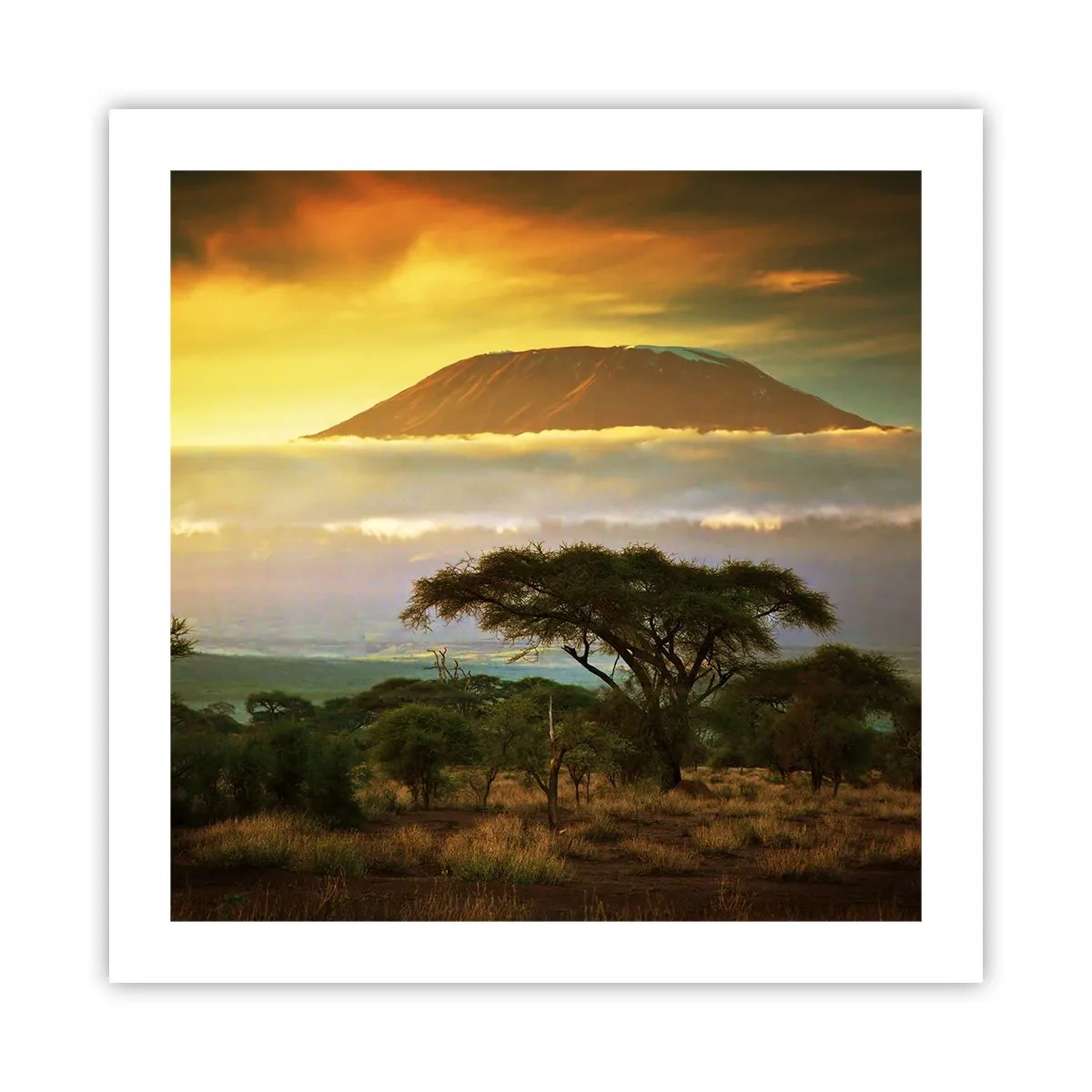 Poster - Il sogno del viaggiatore - 50x50 cm