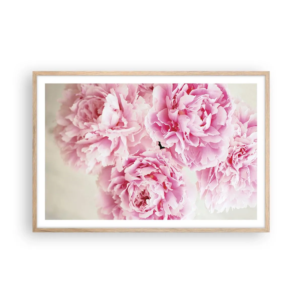 Poster in cornice rovere chiaro - Nel fasto rosa - 91x61 cm