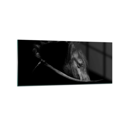 Quadro su vetro - Ritratto in bianco e nero di un cavallo con un sottile gioco di luci e ombre su uno sfondo scuro. - 120x50cm - Il principe nero - Decorazione murale moderna per soggiorno e camera da letto ARTTOR