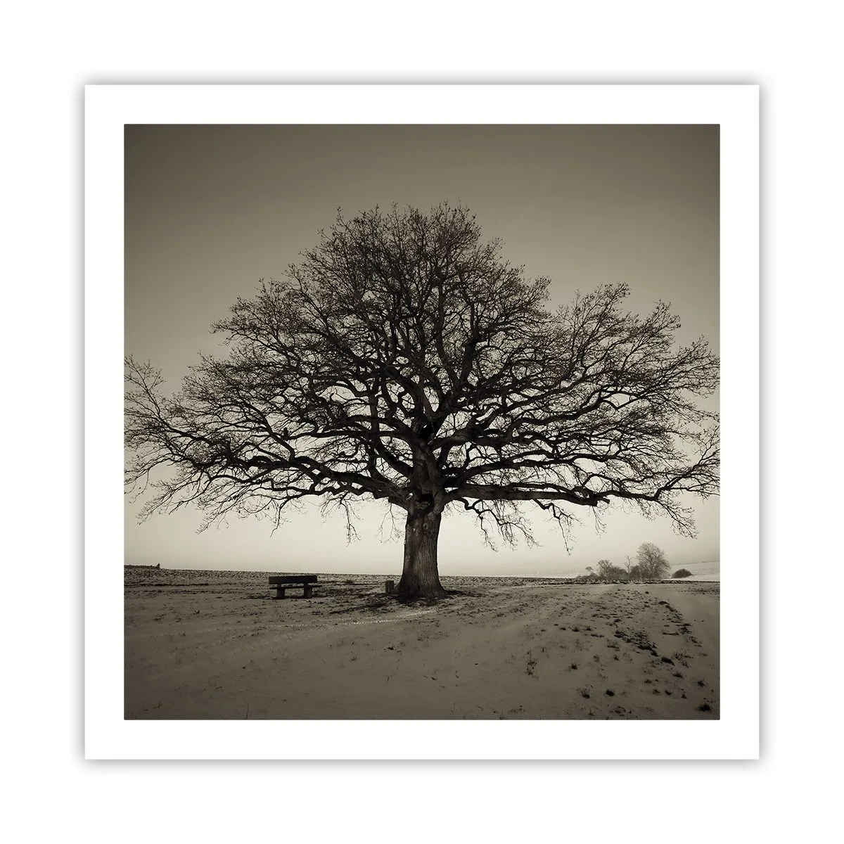 Poster - Da qui all'eternità - 60x60 cm