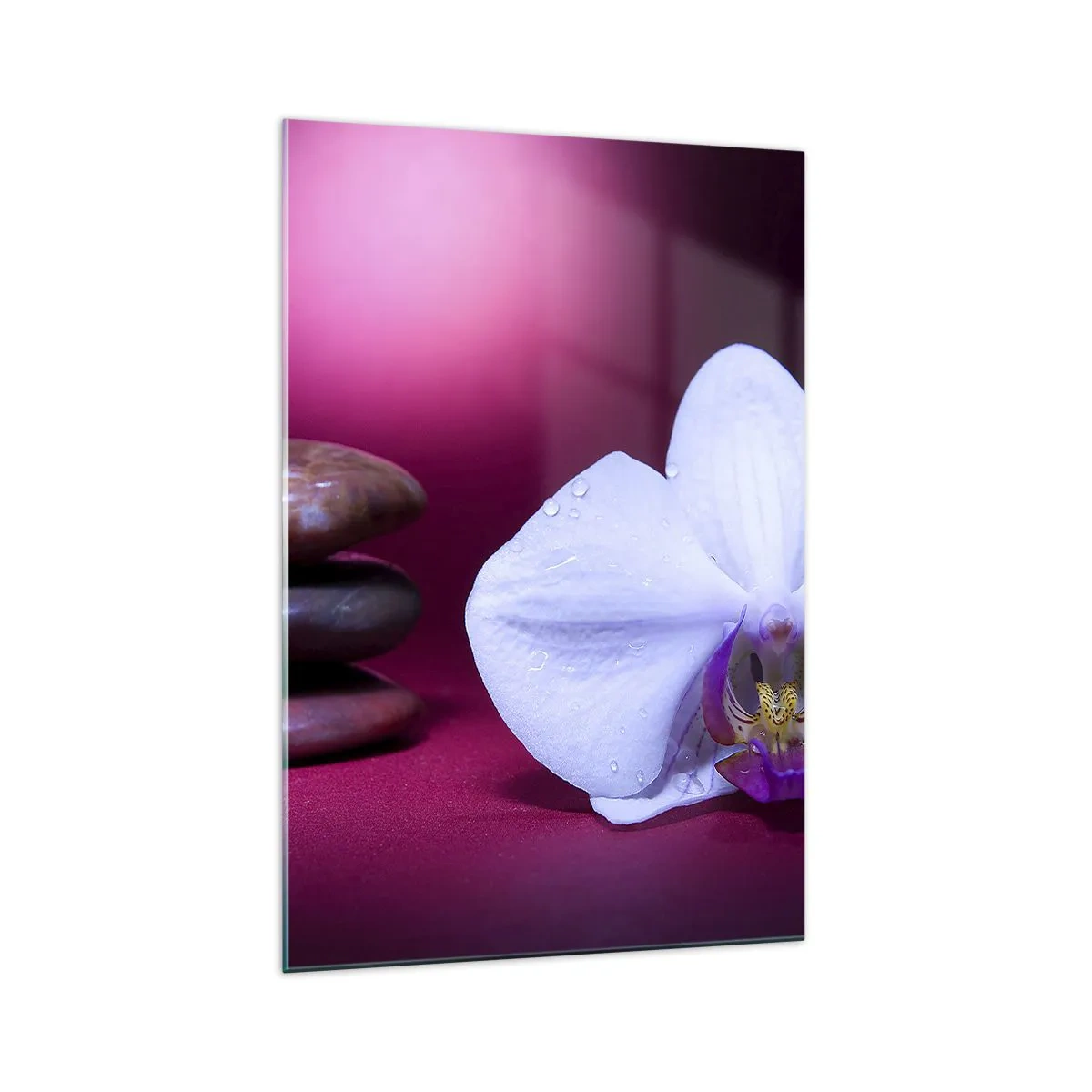 Quadro su vetro - Orchidea bianca e pietre su sfondo rosa - 70x100cm - Studio di freschezza in viola - Decorazione murale moderna per soggiorno e camera da letto ARTTOR