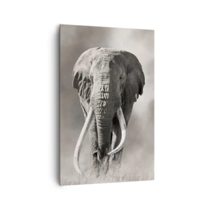 Quadro su tela - Stampe su Tela - Patriarca africano - 80x120 cm