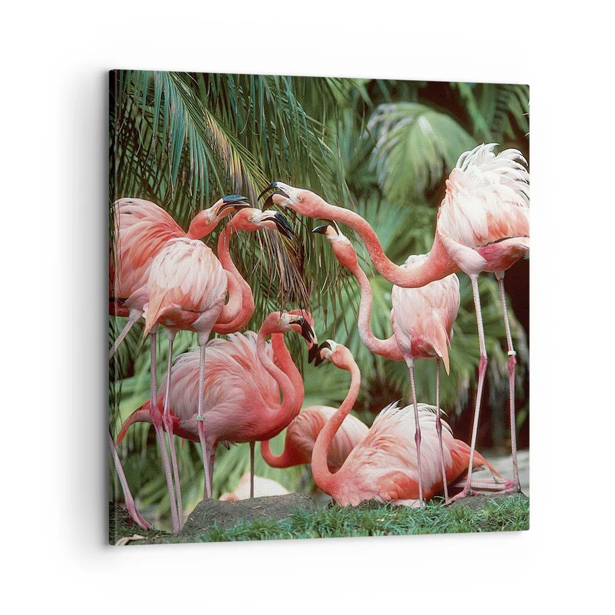 Quadro su tela - Stampe su Tela - Pettegolezzi pomeridiani - 60x60 cm