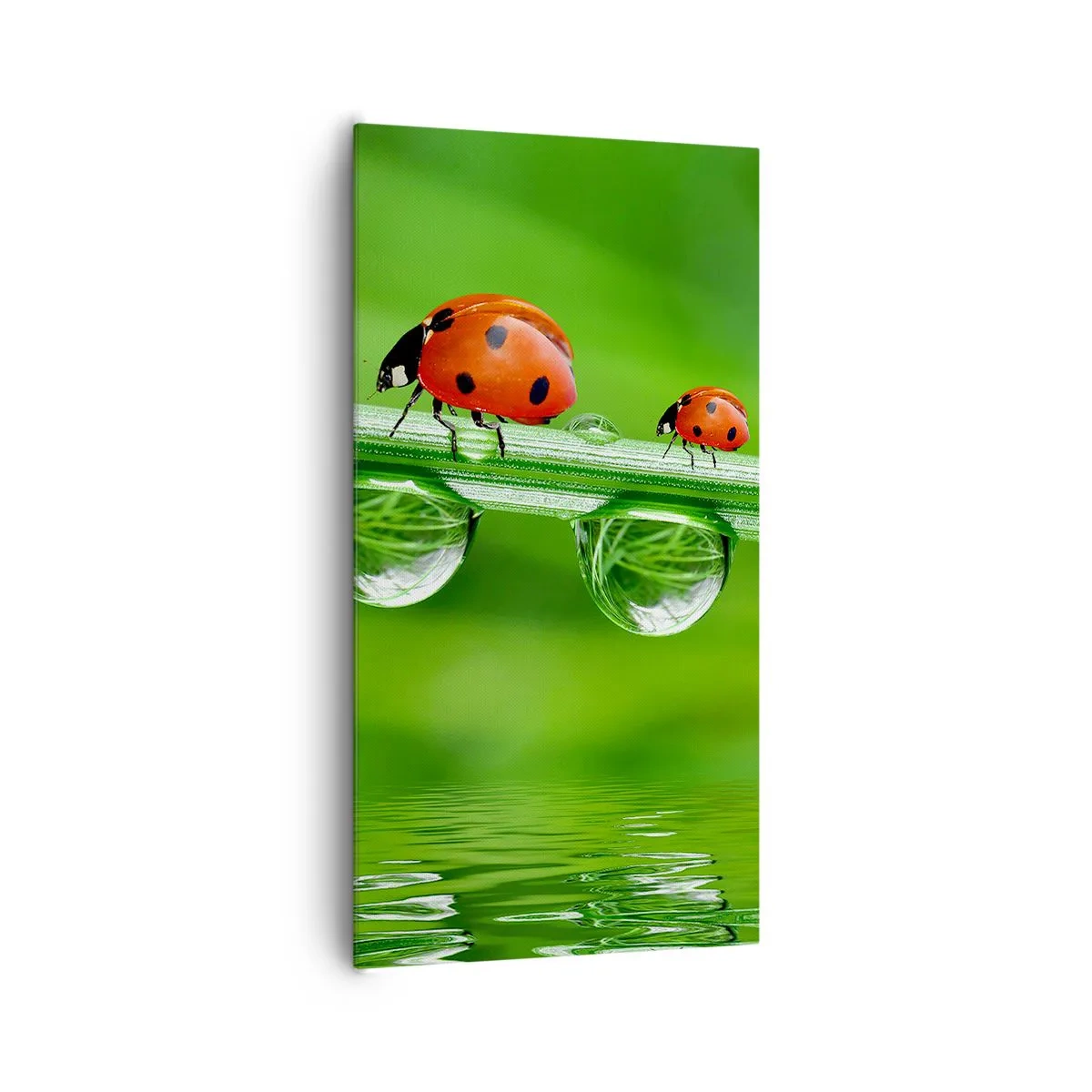 Quadro su tela - Stampe su Tela - In cammino per tutta l'estate - 65x120 cm