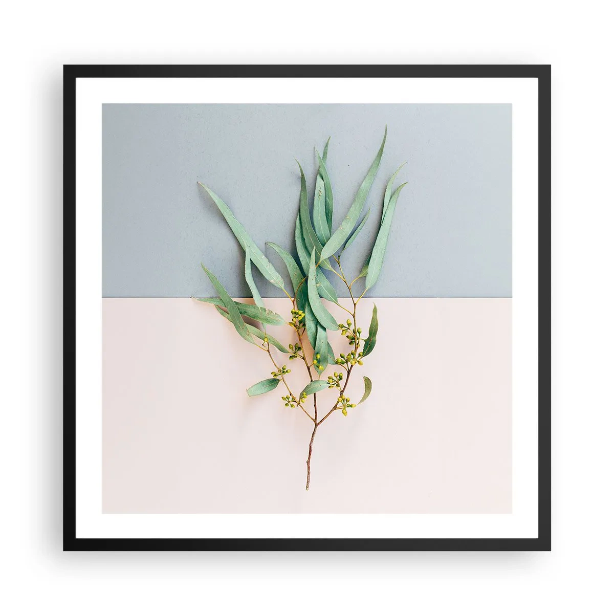 Poster in cornice nera - Delicatezza pastello - 60x60 cm
