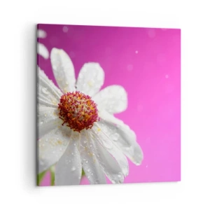 Quadro su tela - Stampe su Tela - Modesto nella sua bellezza - 50x50 cm