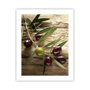 Poster - Direttamente dalla natura - 40x50 cm