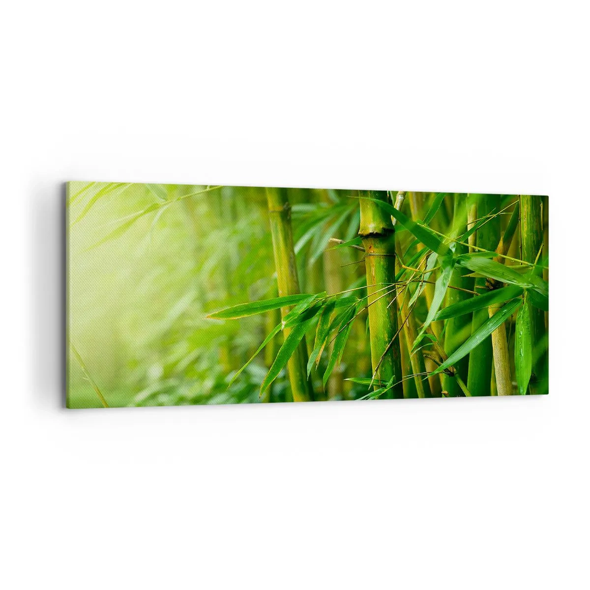 Quadro su tela - Stampe su Tela - Foresta di bambù verde in luce soffusa - 120x50cm - Conoscere il verde in sé - Decorazione murale moderna per soggiorno e camera da letto ARTTOR