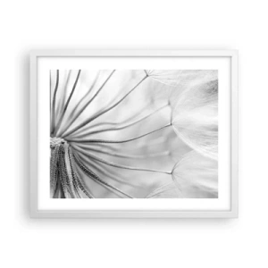 Poster in cornice bianca - Denti di leone, aquiloni - 50x40 cm