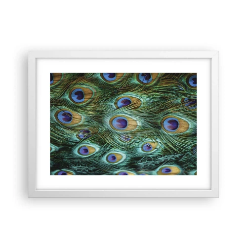 Poster in cornice bianca - Lo sguardo del pavone - 40x30 cm
