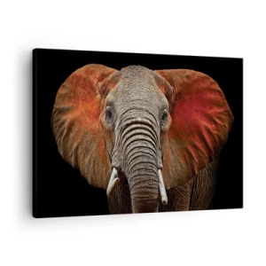Quadro su tela - Stampe su Tela - Ritratto di un elefante su sfondo nero - 70x50cm - Sono selvaggio e tu? - Decorazione murale moderna per soggiorno e camera da letto ARTTOR