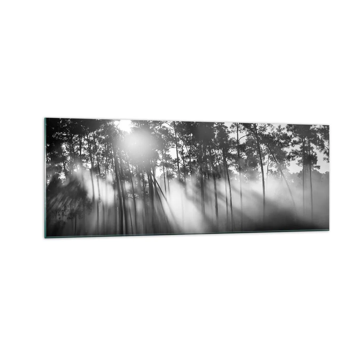 Quadro su vetro - Foresta bianca e nera nella nebbia mattutina - 140x50cm - Sole irrefrenabile - Decorazione murale moderna per soggiorno e camera da letto ARTTOR